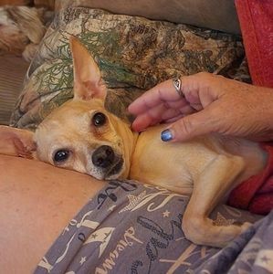 Meet your Posher, Tamara